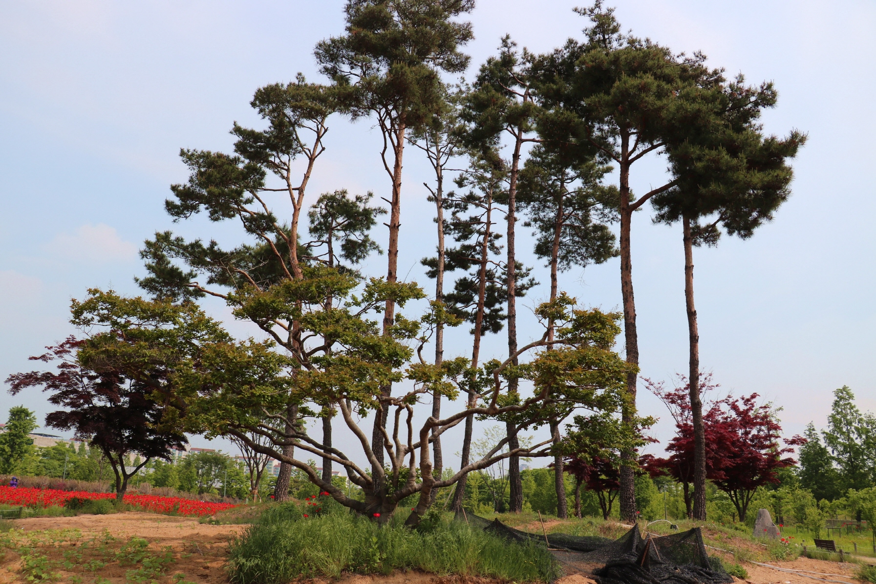 크기변환_호수공원2 002.JPG