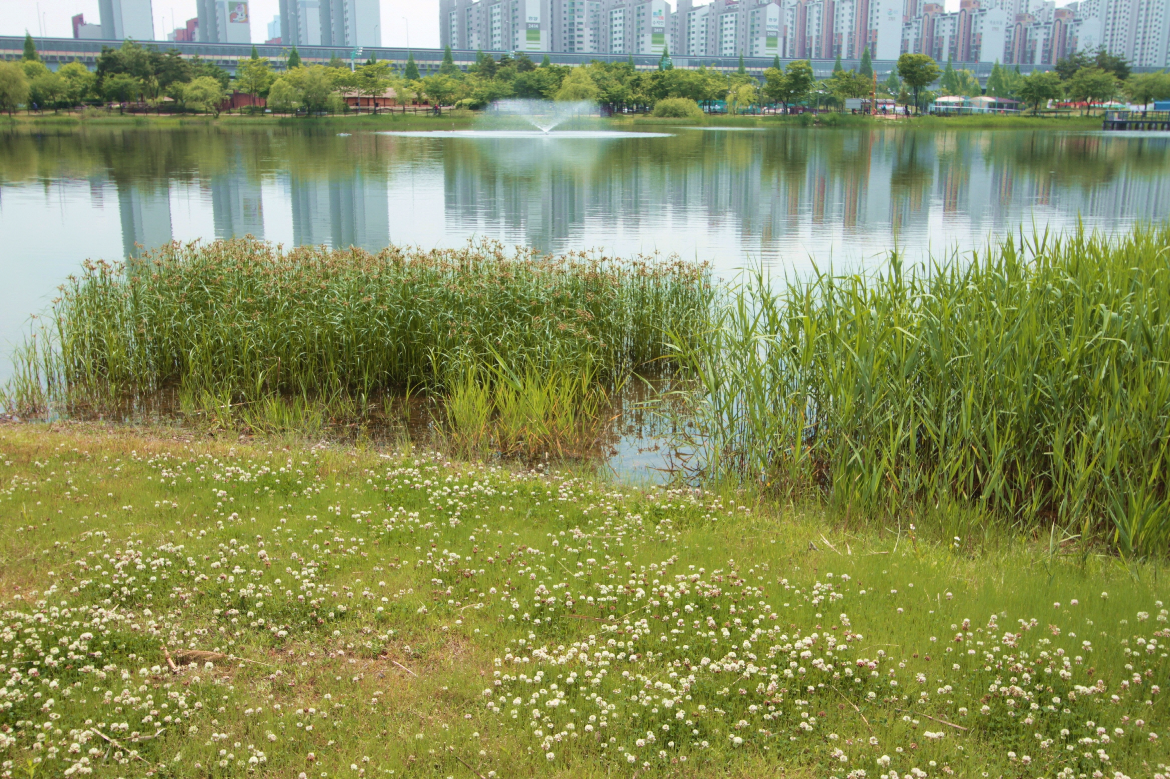 크기변환_호수공원1 027.JPG