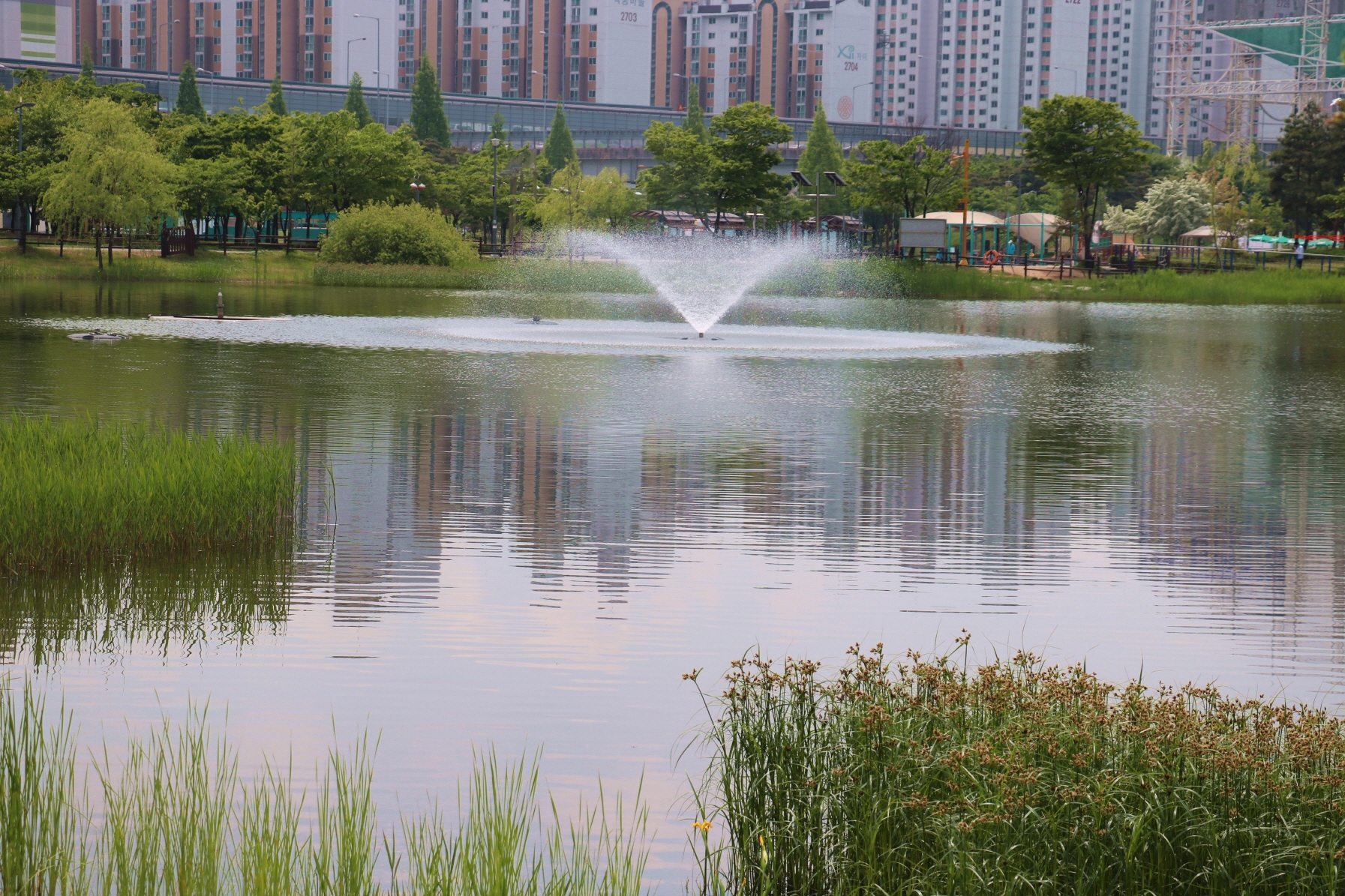 크기변환_호수공원2 042.JPG