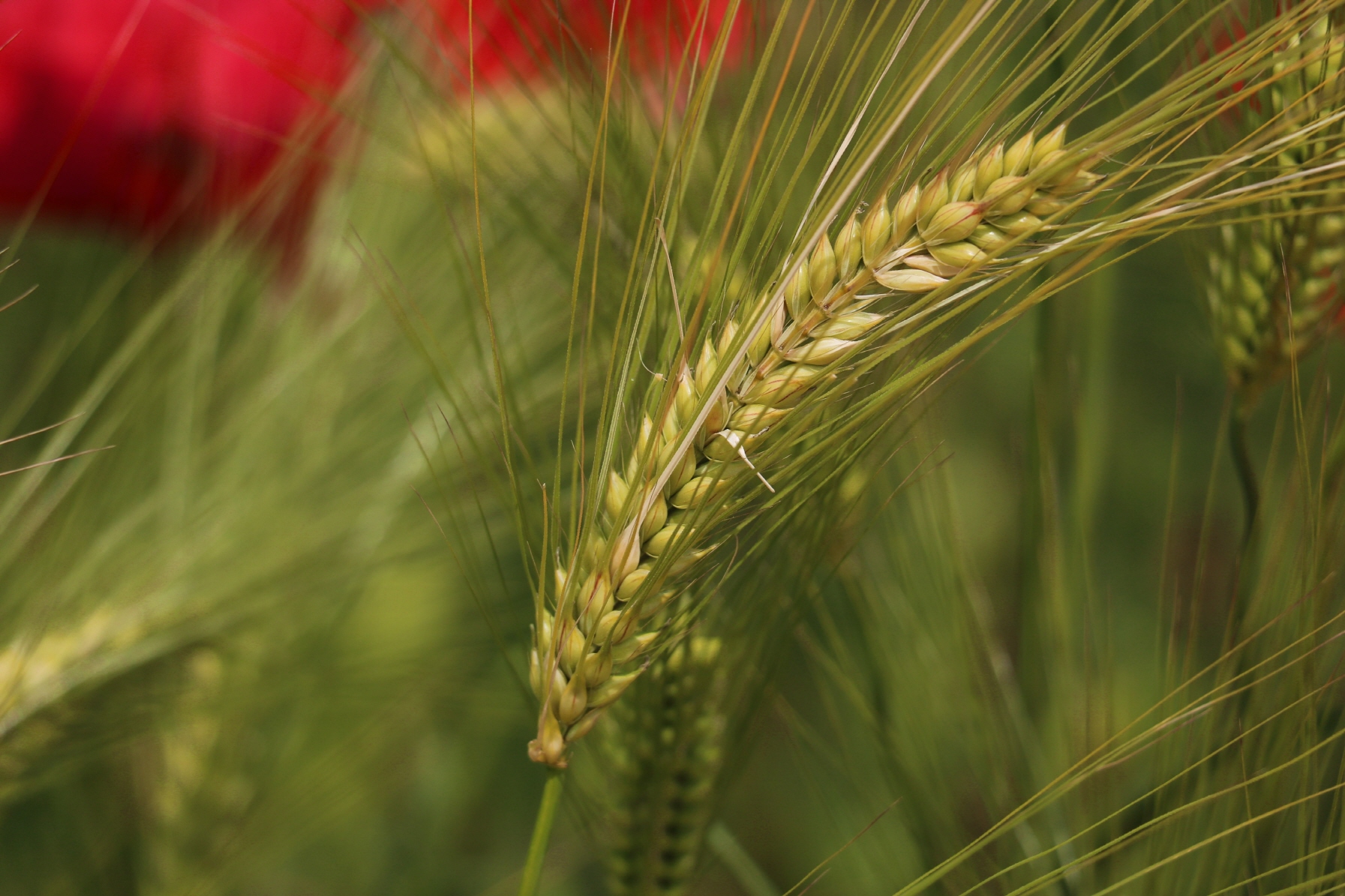 크기변환_호수공원2 074.JPG