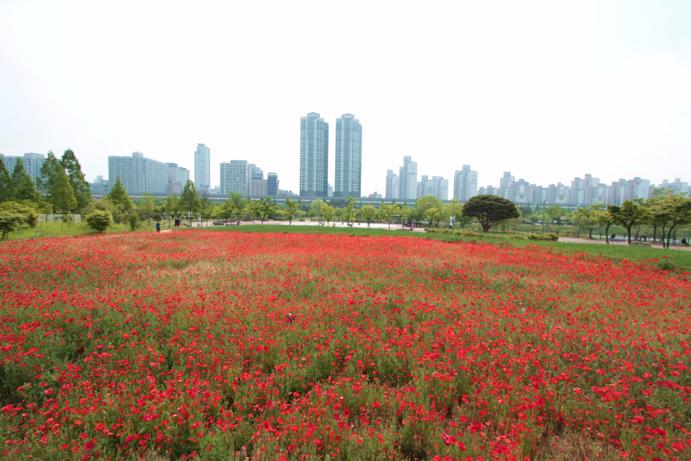 크기변환_호수공원1 005.JPG