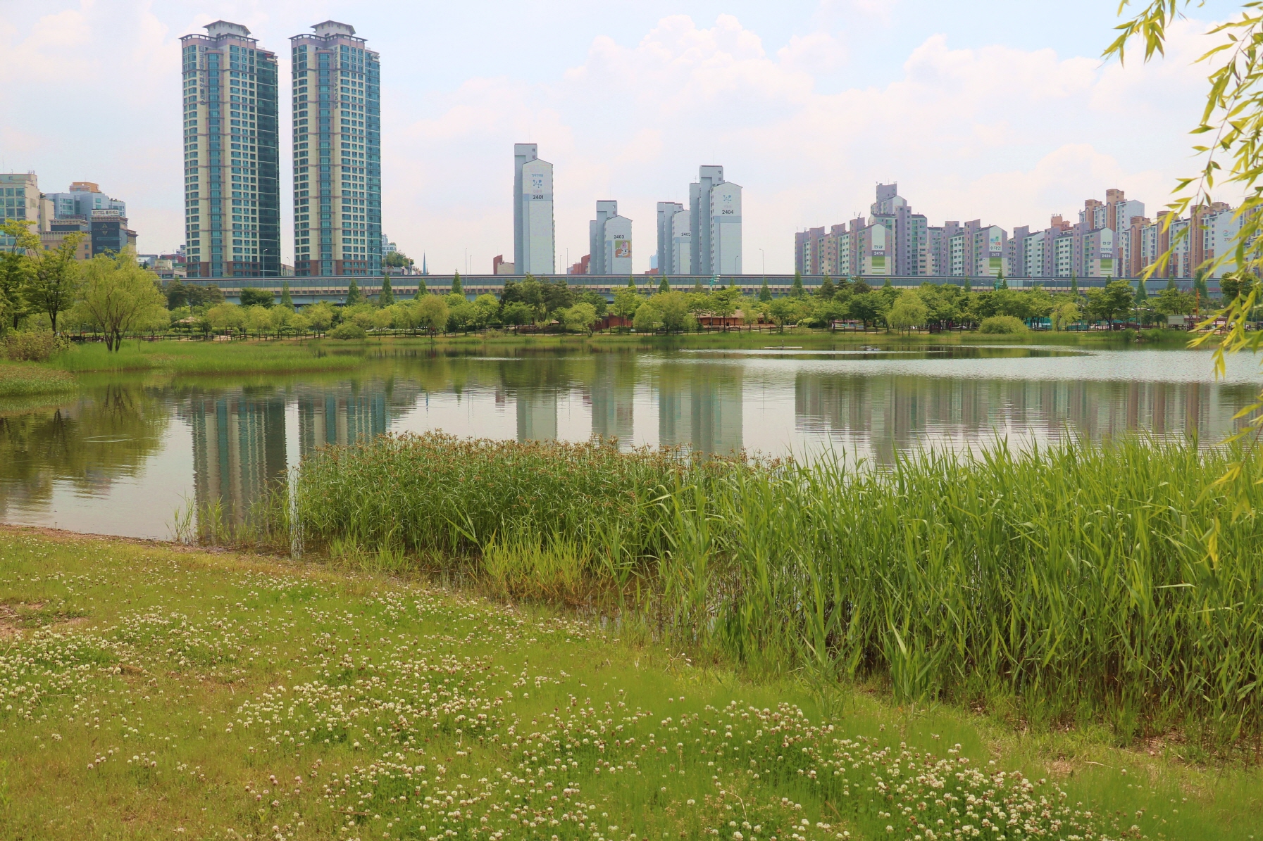 크기변환_호수공원2 048.JPG